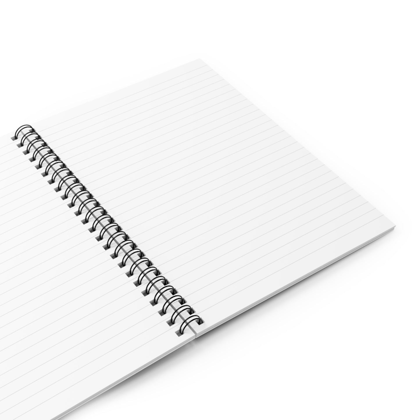 The Roman Mederios Show Notebook